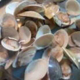 美味 焼きはまぐり バター醤油風味の酒蒸し焼き レシピ 作り方 By Kouaya2319 楽天レシピ 美味 焼きはまぐり バター醤油風味の酒蒸し焼き レシピ 作り方 By Kouaya2319 楽天レシピ